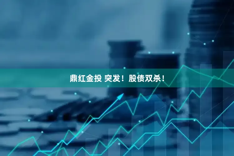 鼎红金投 突发！股债双杀！