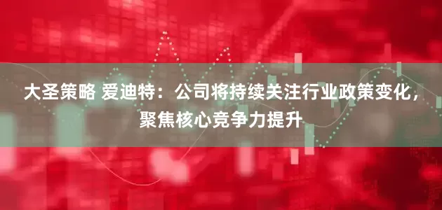 大圣策略 爱迪特：公司将持续关注行业政策变化，聚焦核心竞争力提升