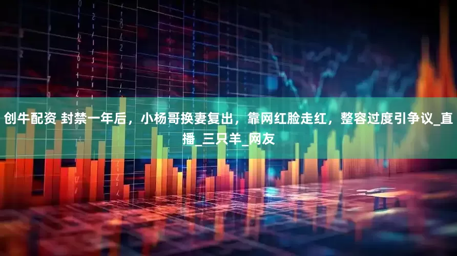创牛配资 封禁一年后，小杨哥换妻复出，靠网红脸走红，整容过度引争议_直播_三只羊_网友