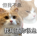浙商证券证交所 我知道你很急但你先别急！放假前这件事别忘记了......